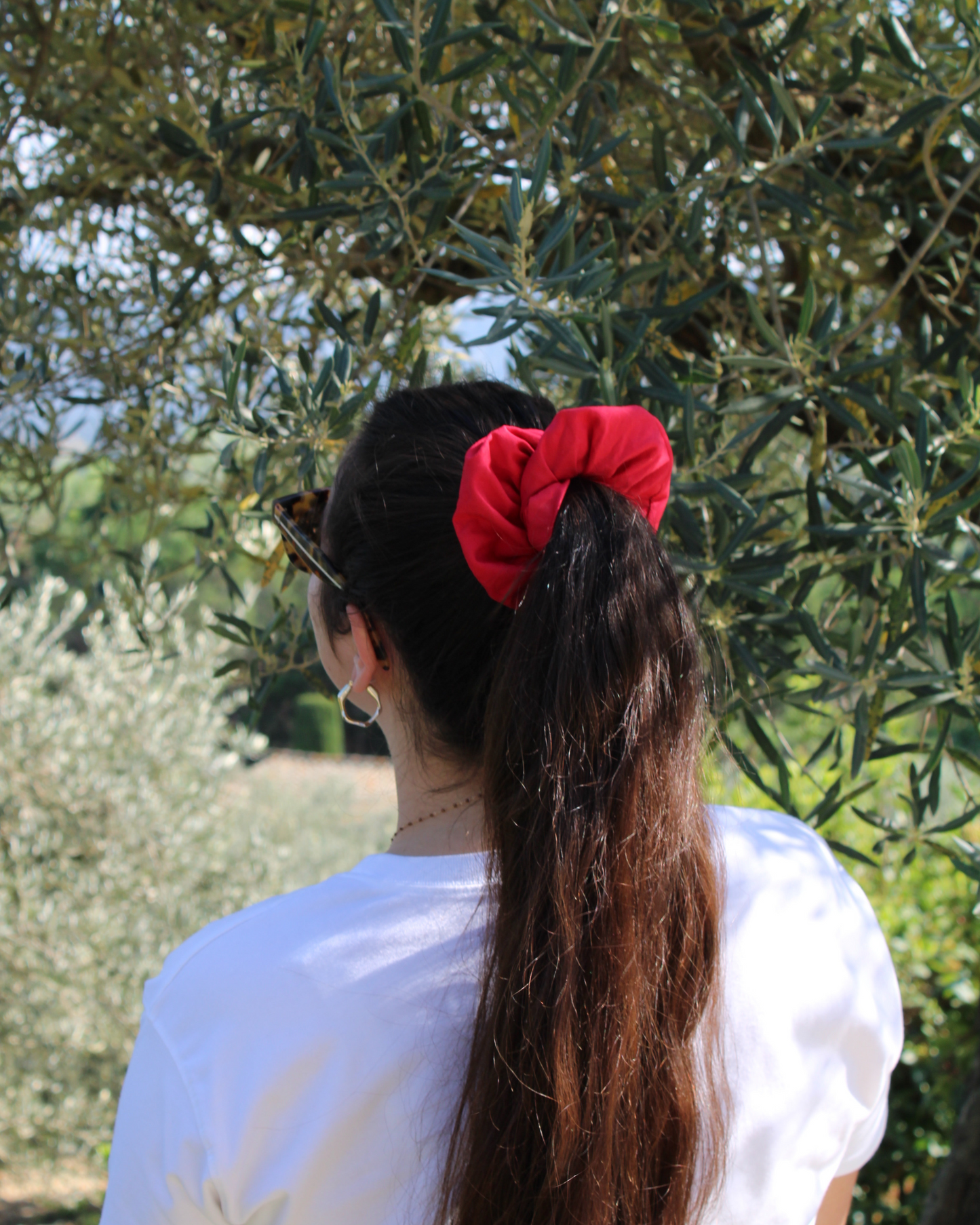 Chouchou Tomate