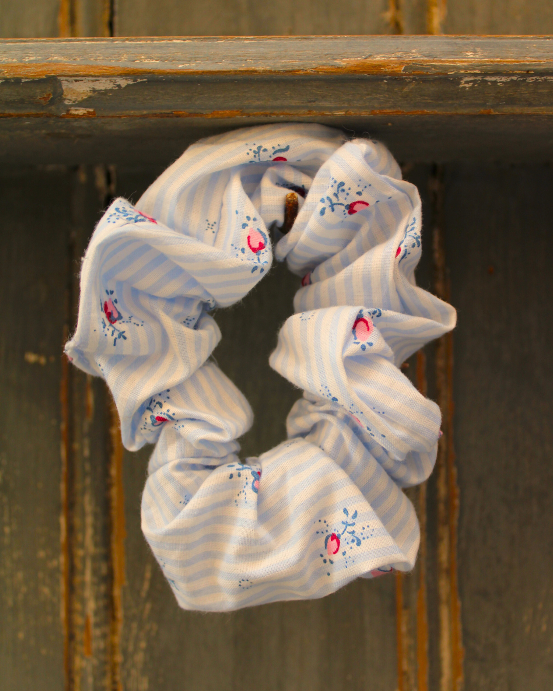 Petit chouchou Méditerranée