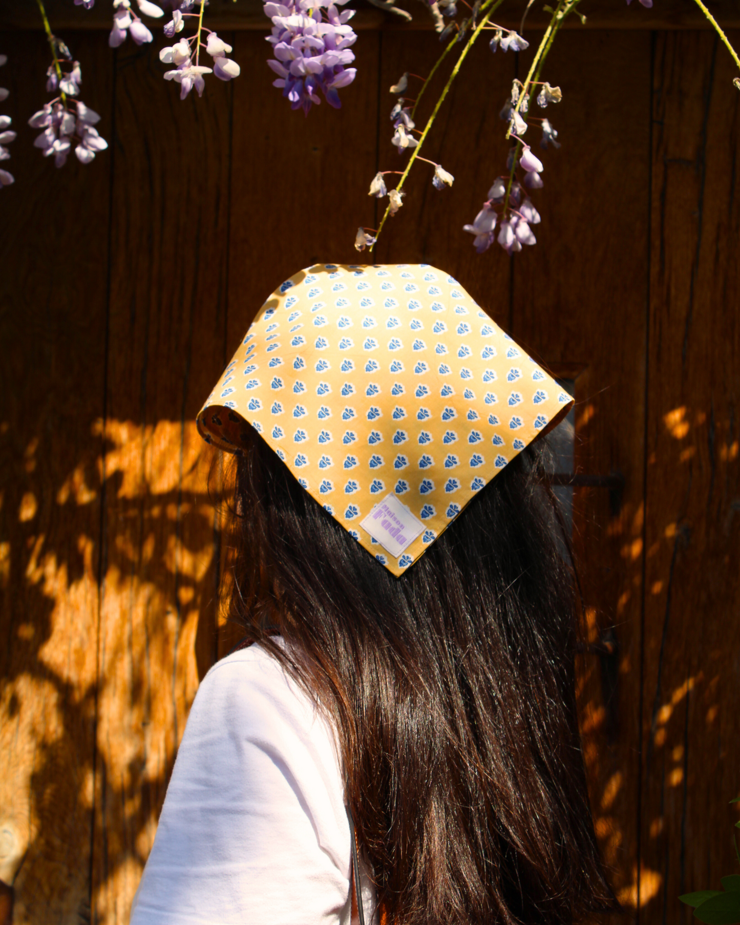 Bandana César
